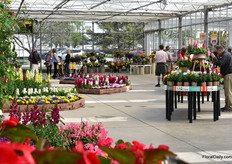 The trial area of Sakata.